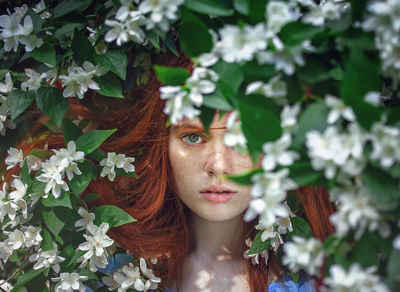 Whimsical Designs